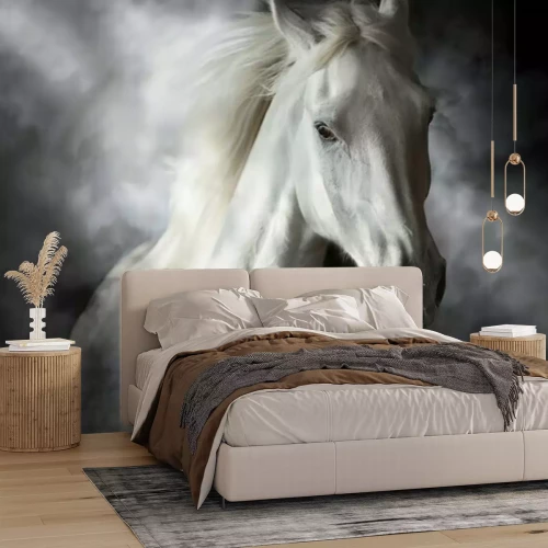 Fototapete Realistisches Pferdeporträt auf schwarzem Hintergrund