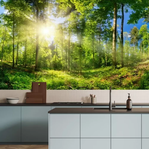 Fototapete Sonnenstrahlen in einem grünen Wald zwischen den Bäumen