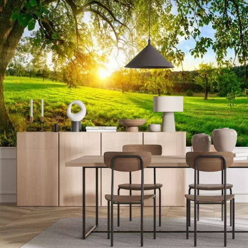 Fototapete Wiesenlandschaft und Bäume