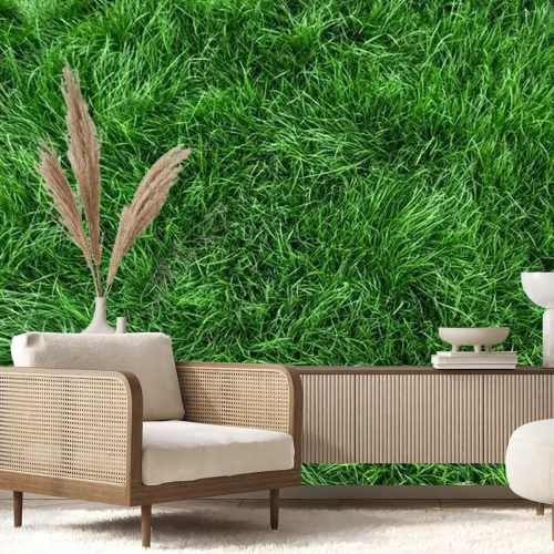 Fototapete Grünes gemähtes Gras