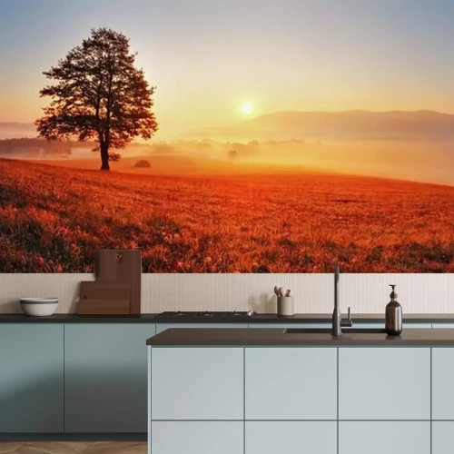 Fototapete Abendlandschaft mit einem Baum