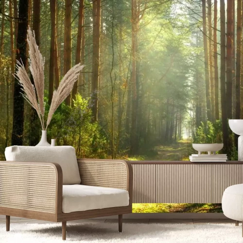 Fototapete Pfad im sonnigen Wald