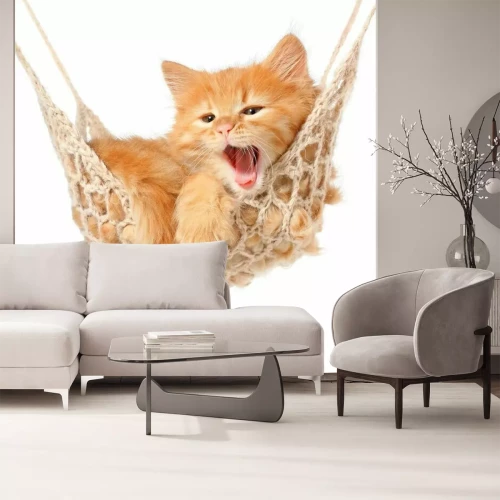 Sticker Haustiere rote Katze in einer Hängematte