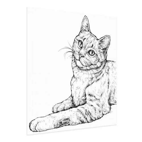 Visualisierung des Produkts