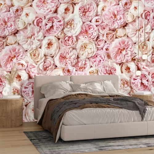 Fototapete Rosa Pastellrosen in dichter Anordnung