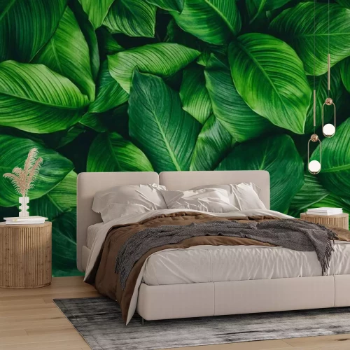 Fototapete Grüne Blätter Exotische