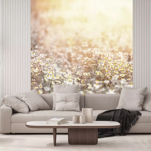 Fototapete Retro-Wiese mit Gänseblümchen