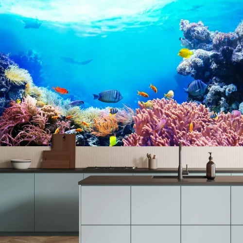 Fototapete Korallenriff und tropische Fische