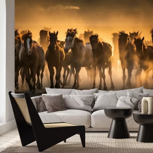 Fototapete Free horses, left to nature at sunset. Cappadocia, Turkey