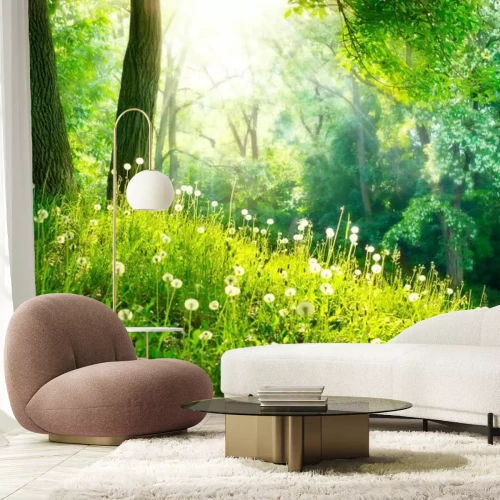 Fototapete Löwenzahn im Wald grüner Natur­landschaft