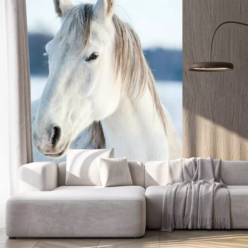 Fototapete Schneepferd im winter