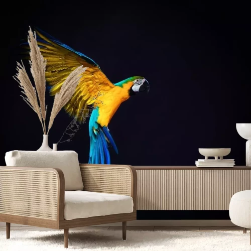 Sticker Tiere bunter Papagei mit ausgebreiteten Flügeln