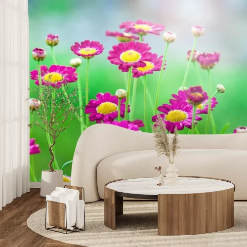 Sticker Rosa Feldblumen im Gras