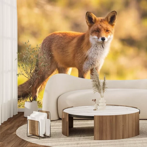 Fototapete Fuchs in der Herbstlandschaft