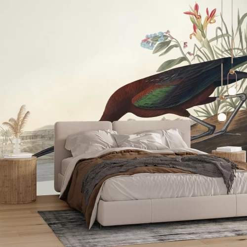 Fototapete Brauner Sichler