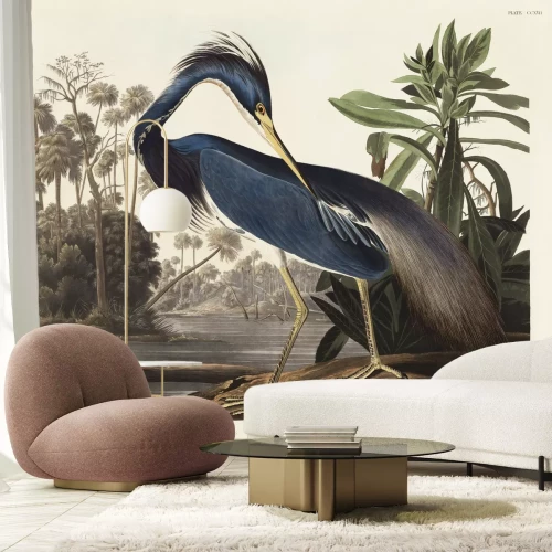 Fototapete Dreifarbenreiher