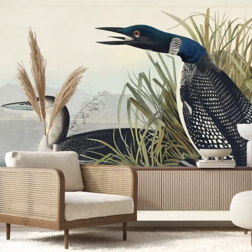 Fototapete Eistaucher