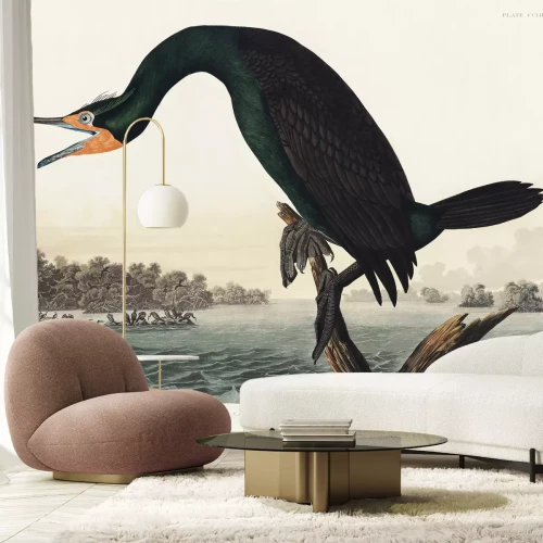 Fototapete Ohrenscharbe