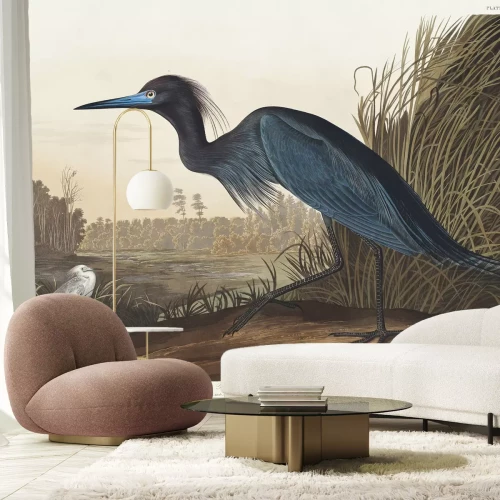 Fototapete Paradieskranich