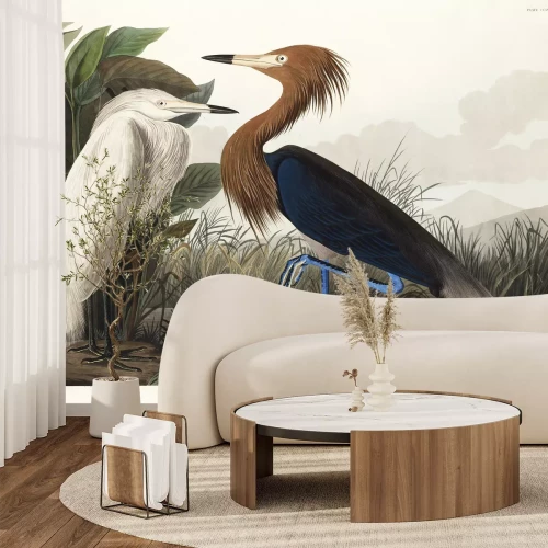 Fototapete Purpurreiher