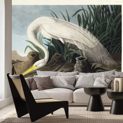 Fototapete Silberreiher II