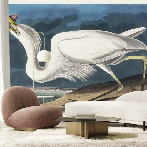 Fototapete Silberreiher