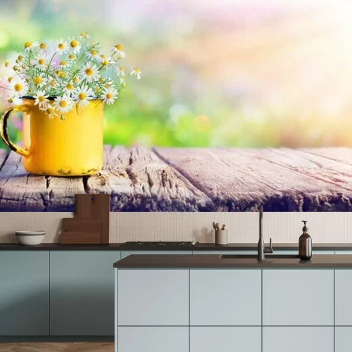 Fototapete Gänseblümchen in kleinem Topf