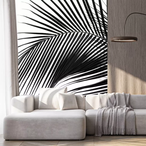 Fototapete Motiv schwarz-weiß mit Palmenblatt