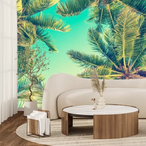 Fototapete A view from below of palm trees against a turquoise sky