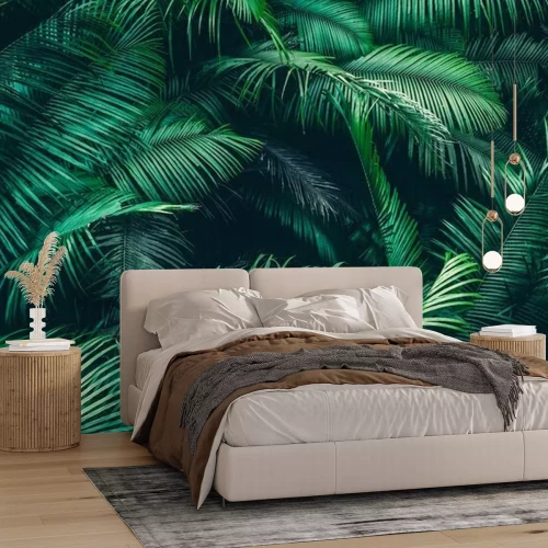 Fototapete Nature background of green forest, tropical forest in green filter