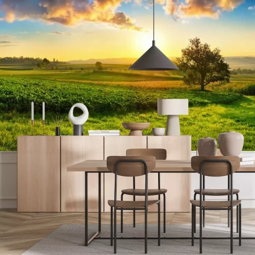 Fototapete Wiese bei Sonnenuntergang