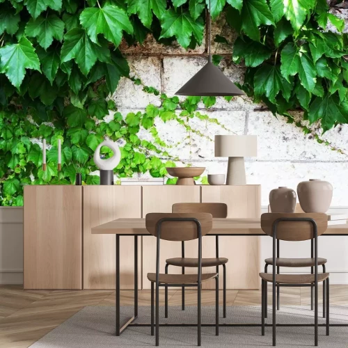 Fototapete An der Wand wachsende Pflanzen