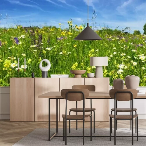 Fototapete Wiese mit Blumen