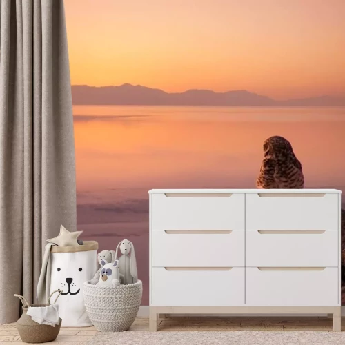 Fototapete Eule bei Sonnenuntergang