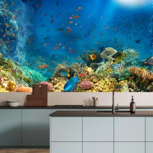 Fototapete Fische unter Wasser