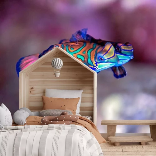 Fototapete Mandarinfische