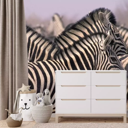 Fototapete Afrikanische Tierherde