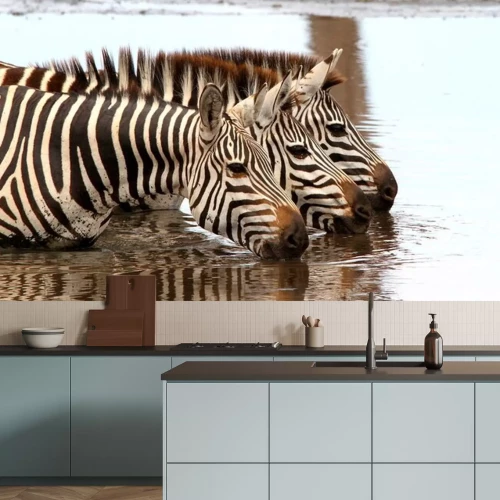 Fototapete Zebras im Wasser