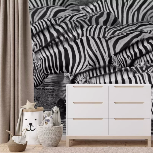 Fototapete Zebras trinken Wasser aus dem Fluss