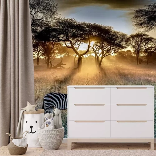 Fototapete Zebras in der untergehenden Sonne