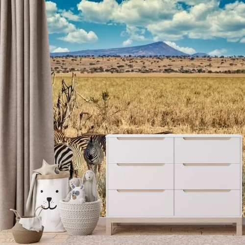 Fototapete Zebras vor dem Hintergrund der Berge