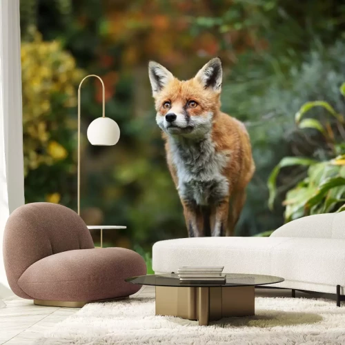 Fototapete Fuchs in einem grünen Garten