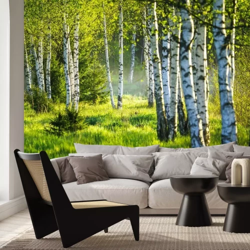 Fototapete Spring green foliage