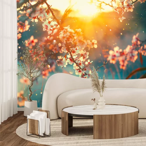 Fototapete Frühlings-Kirschblüten mit Sonnenstrahlen