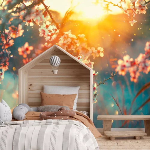 Fototapete Frühlings-Kirschblüten mit Sonnenstrahlen