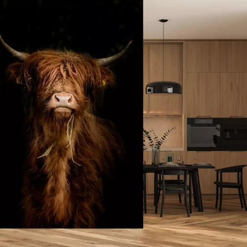 Fototapete Tier auf schwarzem Hintergrund