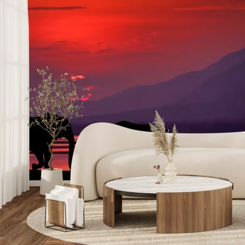 Fototapete Zwei Elefanten am Abend