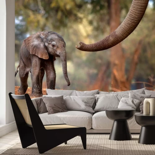 Fototapete kleiner Elefant in Afrika