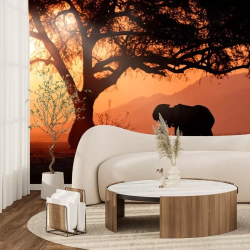 Fototapete Elefant in Afrika