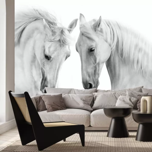 Sticker Ein Paar graue Pferde auf weißem Hintergrund